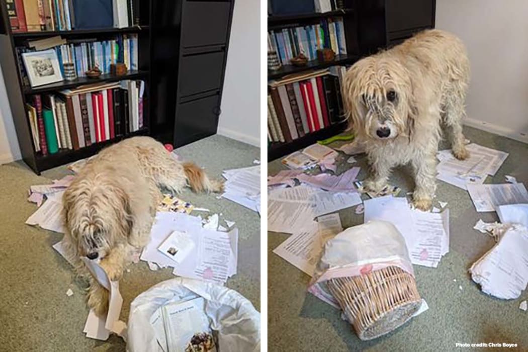 Benny and his filing.