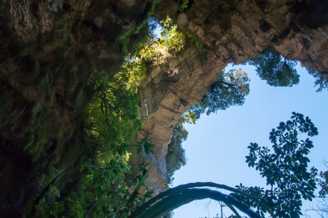 The Oparara Arch, near Karamea