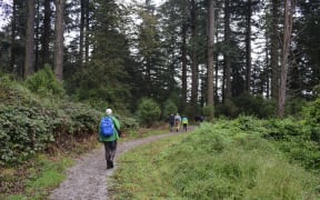 People walking in McHughs forest, Darfield