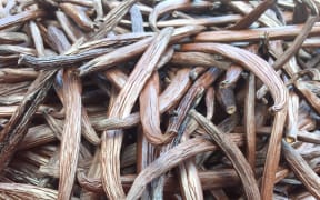 Vanilla pods grown in the Cook Islands.