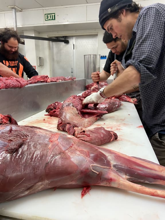 Feral deer, which are widespread in upper Hawke's Bay, are being turned into sausages after being culled.