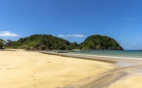 Matapouri Beach on the North Island of New Zealand.