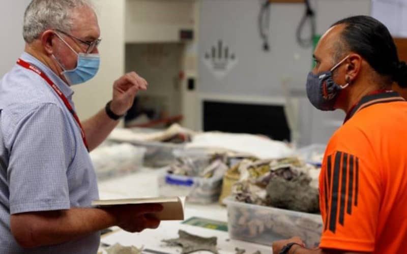 Unearthed moa bones at least 180,000 years old | RNZ