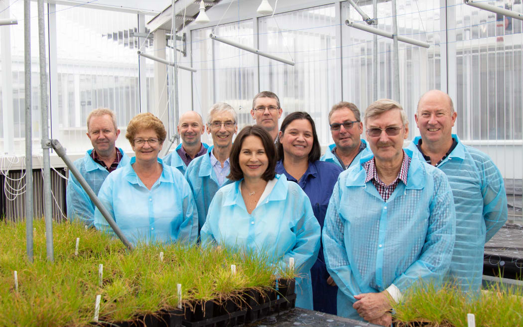 A group shot of 10 people in blue protective coveralls stand behind a bench with some potted grass on it.