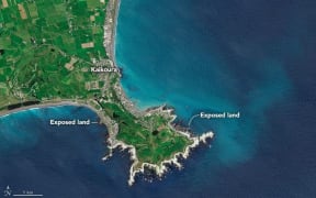 This image taken on 25 November shows the newly exposed land near Kaikōura.