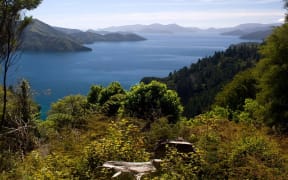 Queen Charlotte Track, Marlborough.