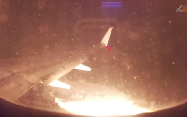Bird strike: What happens when a plane collides with a bird? | RNZ