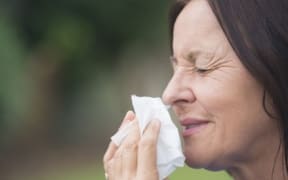 Hayfever