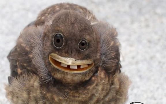 A creation from Tom Curtis, who recreates his children's drawings on Instagram [Things I Have Drawn] with some Photoshop help.