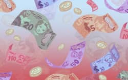 Illustration depicting New Zealand currency