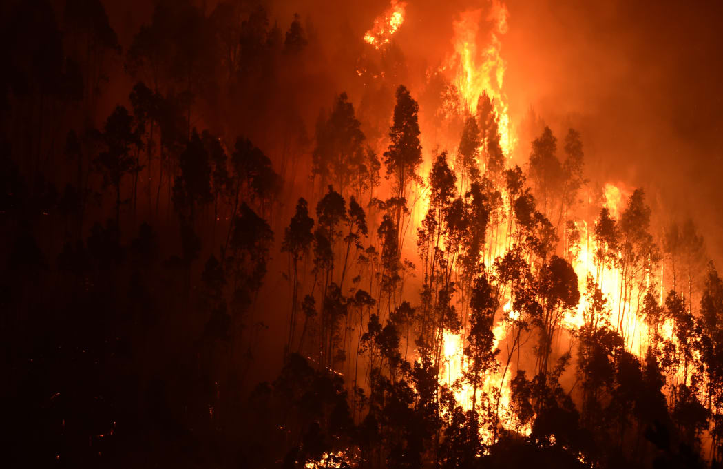 A forest in flames near the village of Mega Fundeira, Portugal, on 18 June.