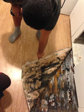 Rotting floorboards in Bonnie and William Moa's house