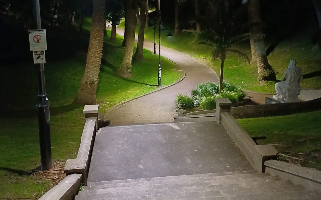 Myer's Park, after dark, Auckland.