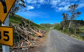 Power lines down in Riversdale in Wairarapa