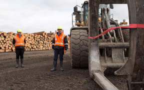 CentrePort chief executive Derek Nind and Transport Minister Simon Bridges at the Waingawa log hub.