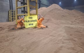 Six Greenpeace activists are occupying part of Taranaki's port to protest Fonterra's use of palm kernel.