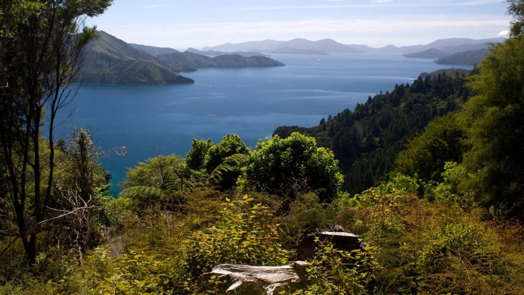 Queen Charlotte Track, Marlborough.
