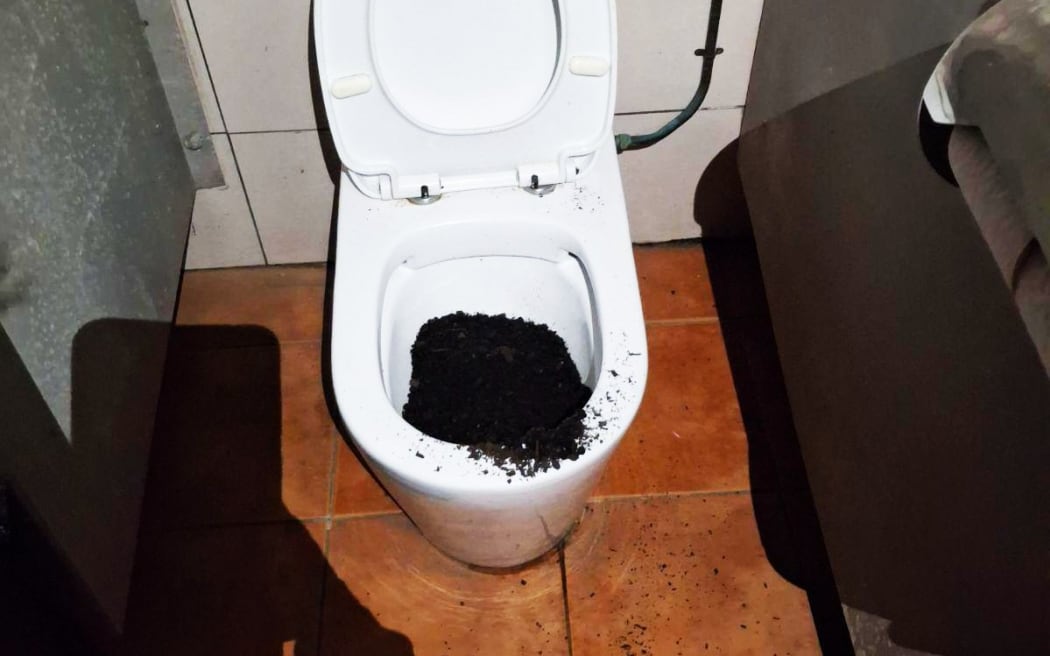 The recent spate of vandalism includes a bizarre incident in Paihia when urinals and toilet bowls were filled with potting mix. Photo: Supplied / FNDC