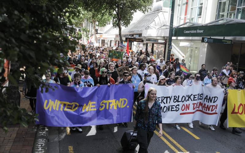 Puberty blocker restrictions for gender-diverse youth overturned by ...