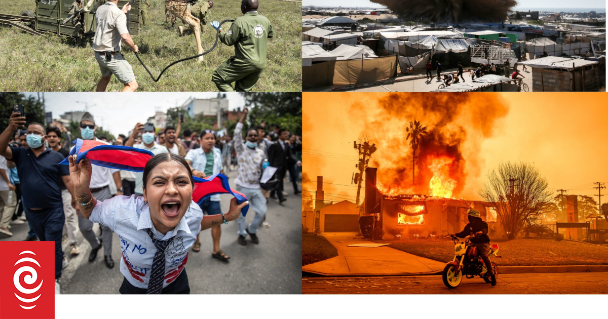 2025's most powerful world news photos