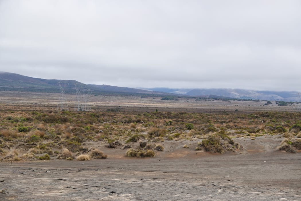 It is believed Nicholas Pike was killed in a remote location off the Desert Road.