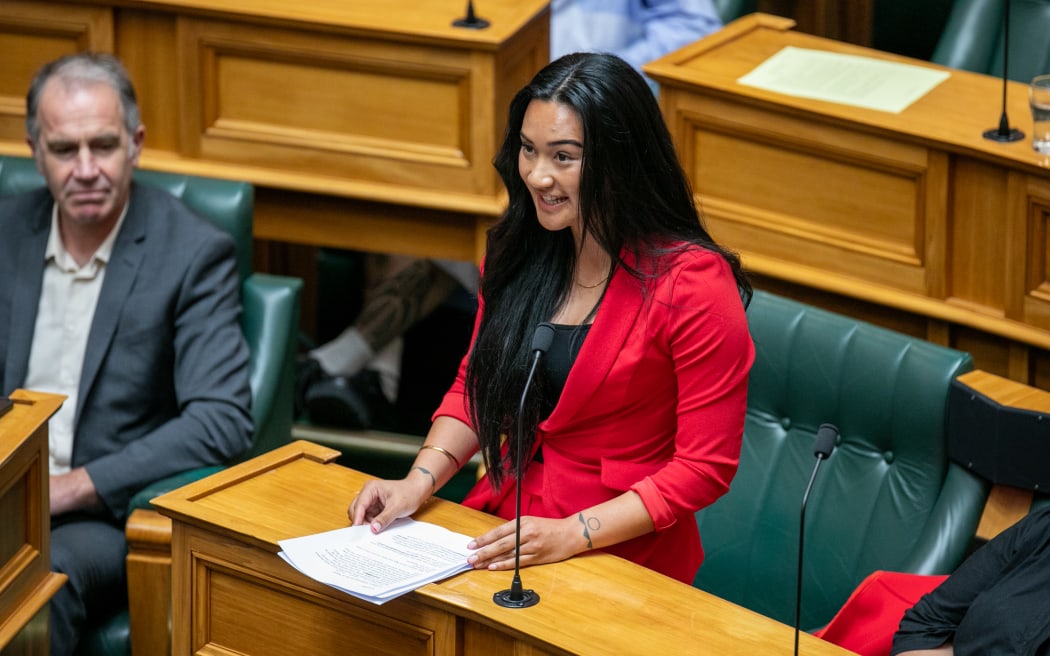 MPs speak during the second reading of the Principles of the Treaty of Waitangi Bill