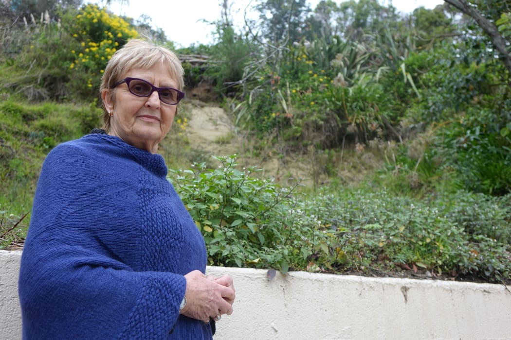 Val Southcombe has had to come out of retirement after her mortgage-free home was red-stickered.