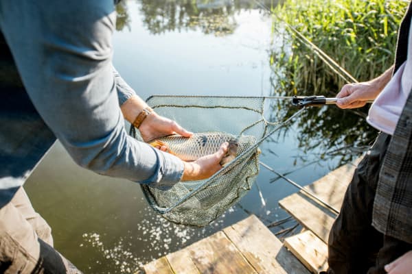 One person holds a net at a lake while another scoops out the fish from it.