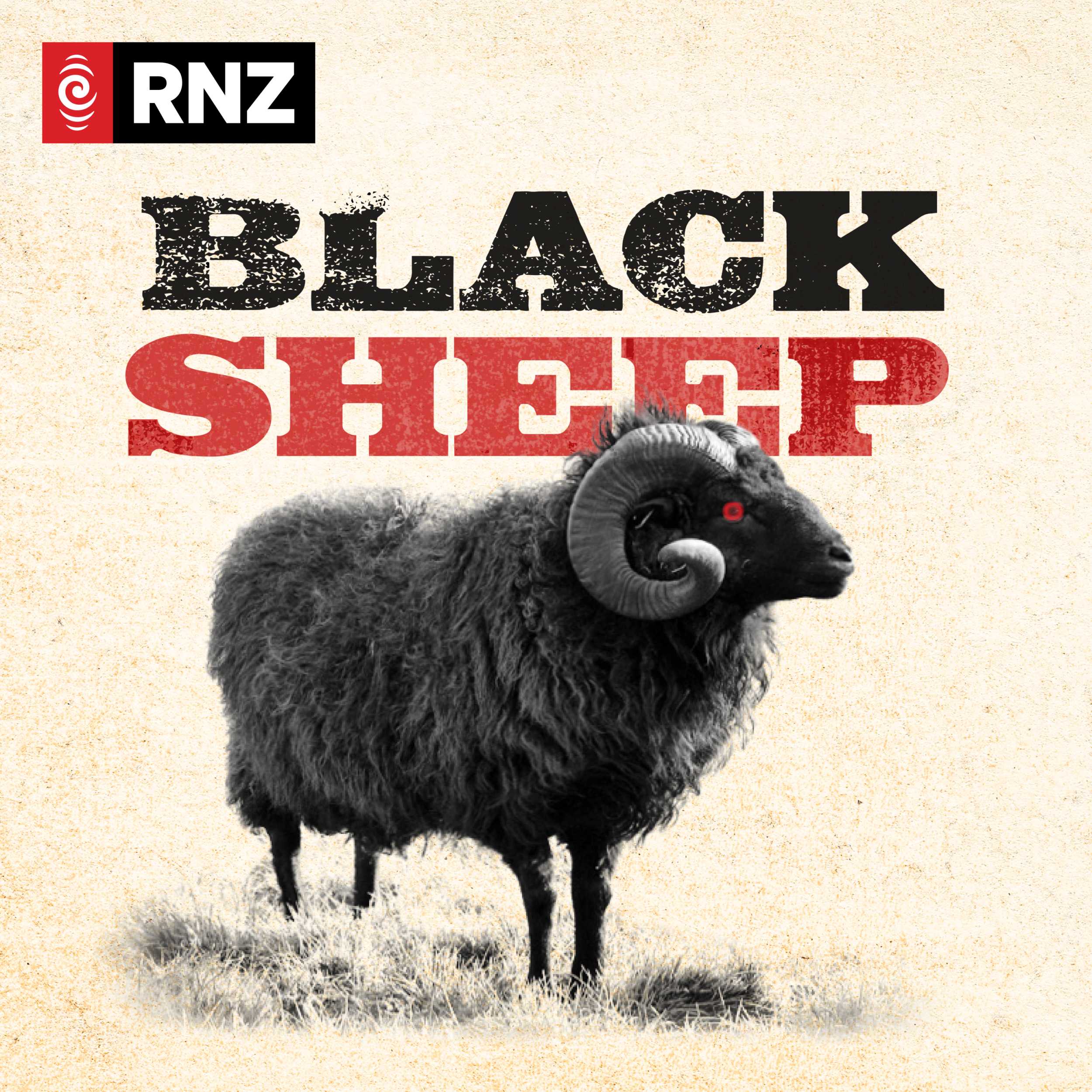 Black Sheep: The story of New Zealand's Mental Institutions episode artwork