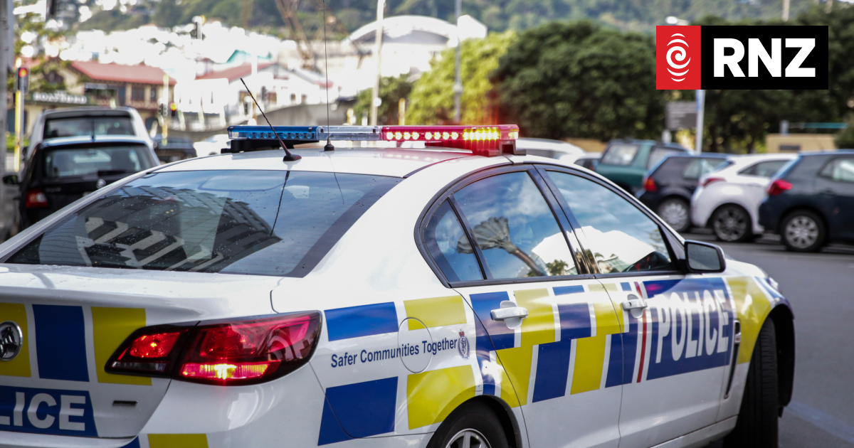 Stolen car goes wrong way down motorway, four youths taken into custody - Vimarsana News