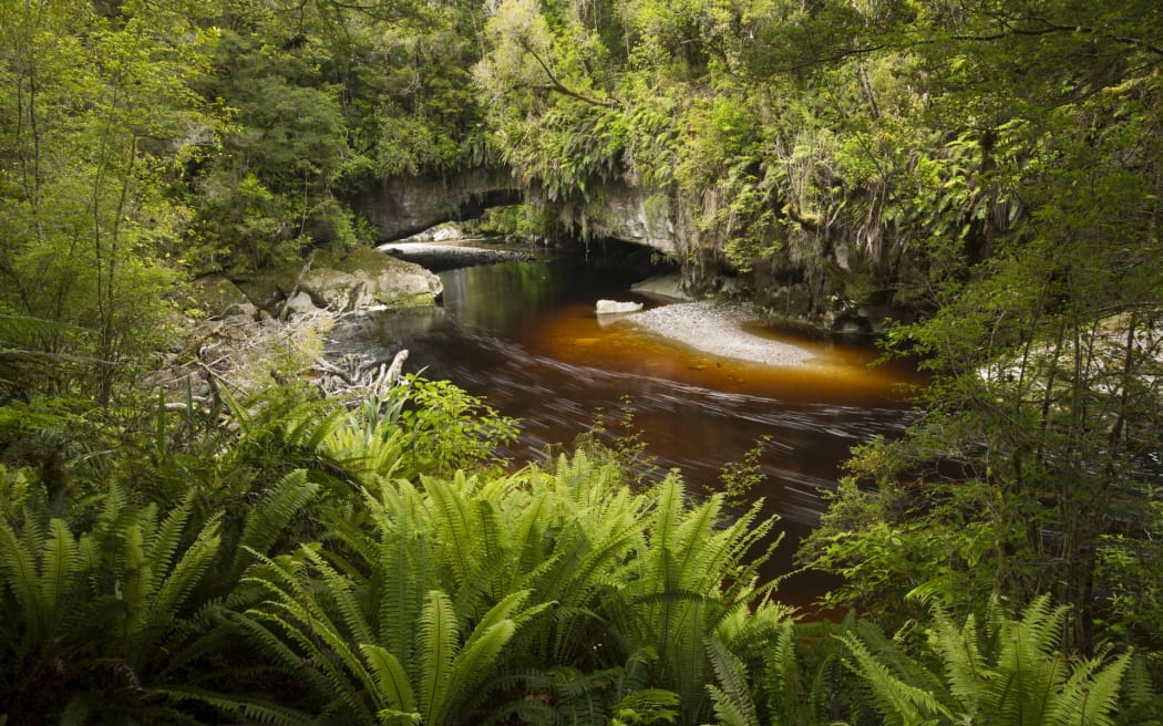 The Oparara Basin offers visitors a chance to go back in time and see a fragment of New Zealand as it looked before humans arrived.