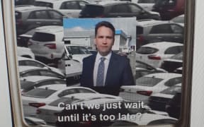 A screenshot from the now-deleted Green Party ad.