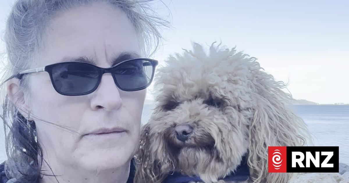 Life 'closed in' as woman hits barriers getting pet registered as disability assist dog
