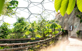 Inside the Eden Project in the UK.