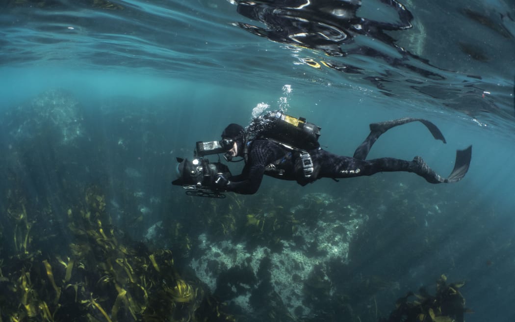 My Octopus Teacher director calls for people to embrace their wildness