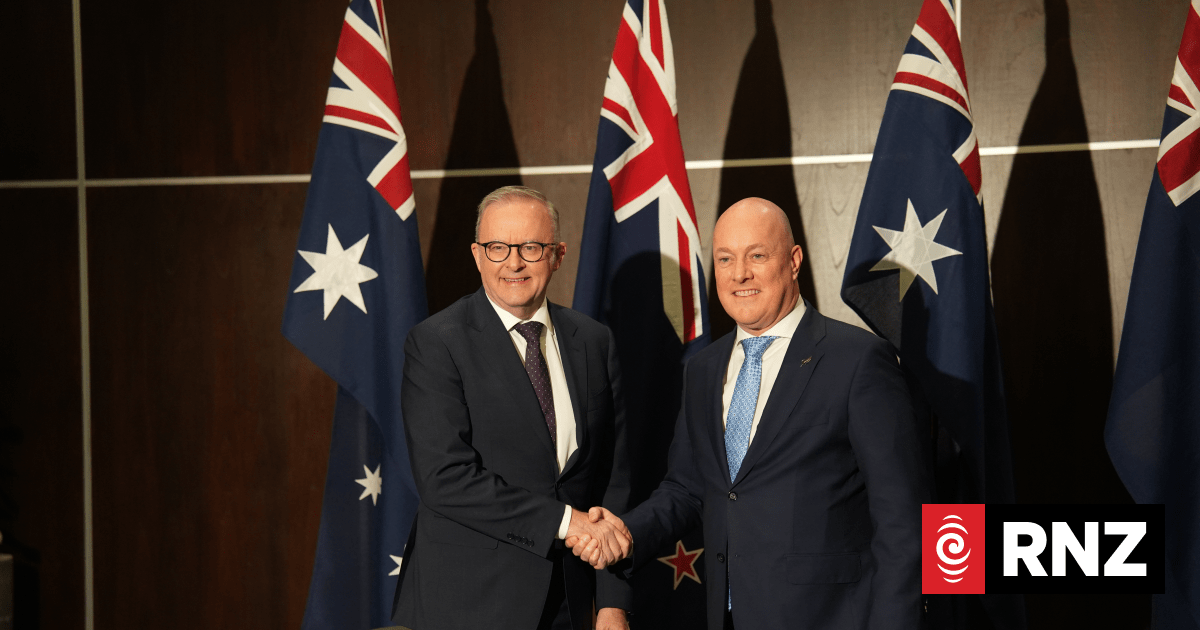 Watch: Christopher Luxon and Australian PM Anthony Albanese speak to media following annual meeting