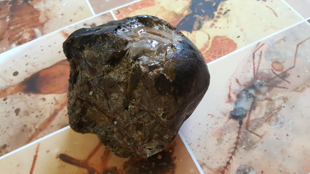 Cannonball-sized lump of amber
