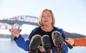National Party leader Judith Collins speaks after the government's announcement of a second harbour bridge - for pedestrians and cyclists - in Auckland.