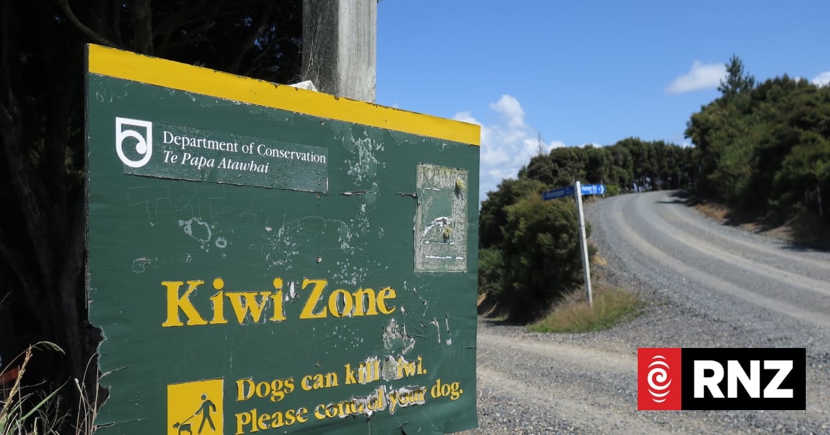 Northland woman pleads guilty after dog kills four kiwi
