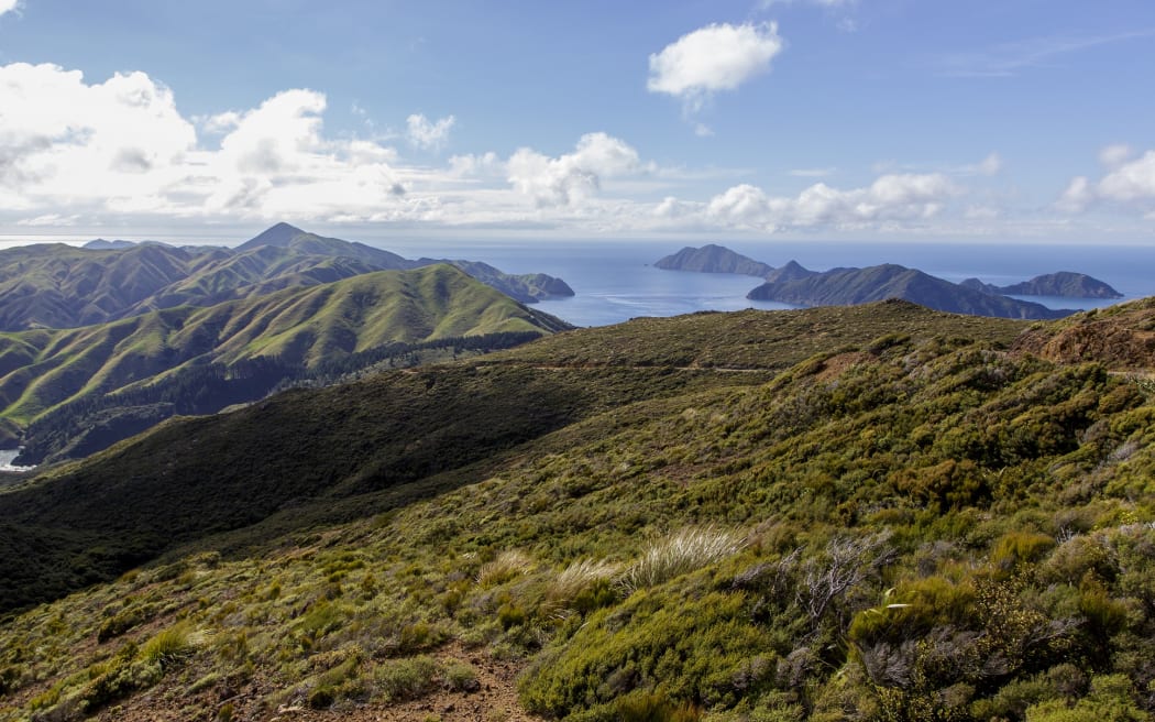 Rangitoto ki te Tonga / d'Urville Island.