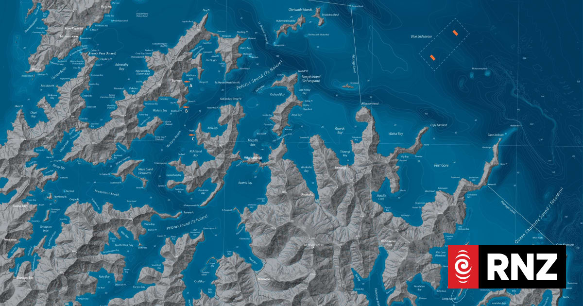 Open ocean salmon farm for Cook Strait given green light | RNZ