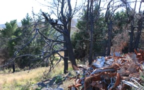 Vikki and Doug Pflaum's Worsleys Road property - one year on from the Port Hills fires.