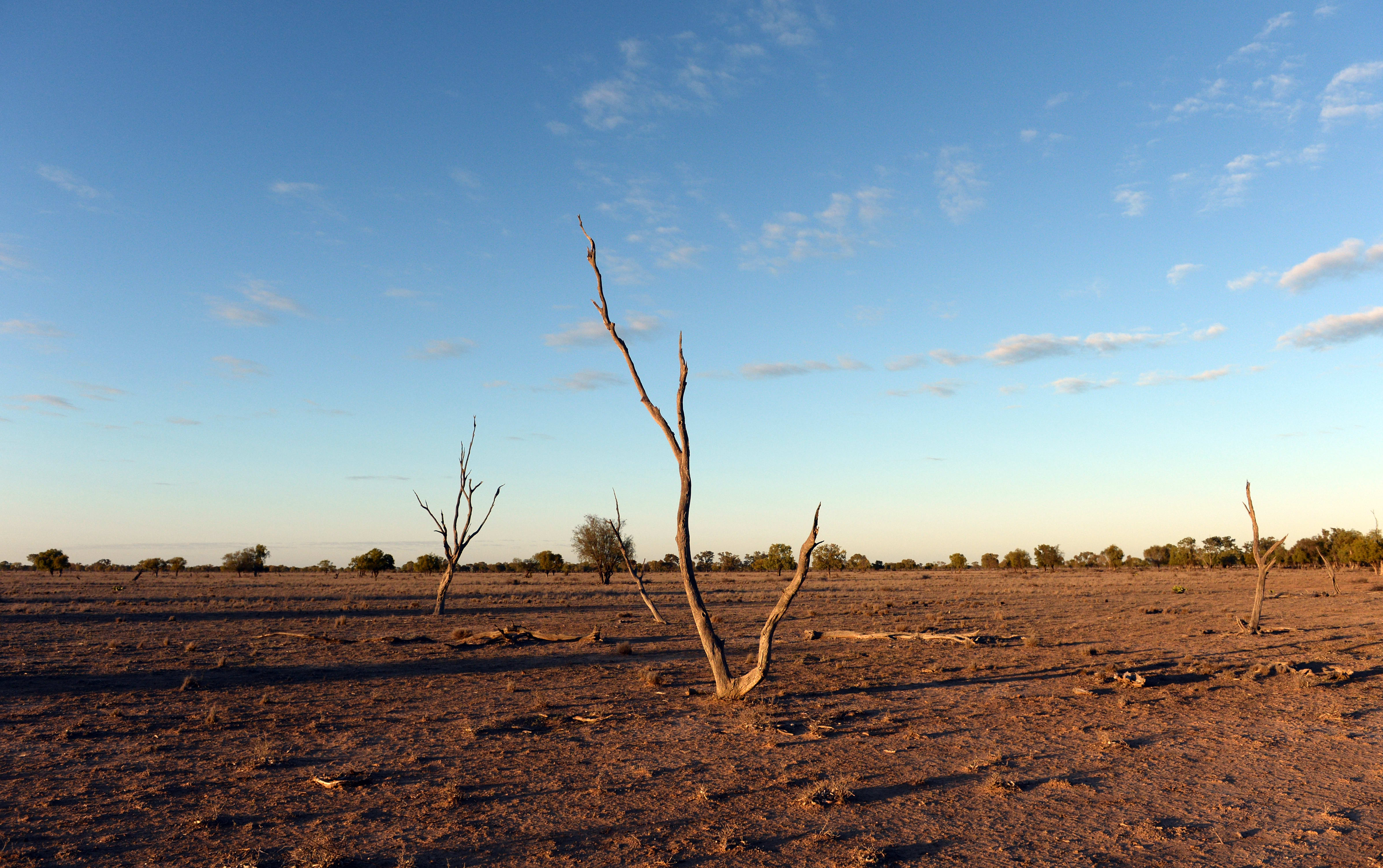 A dry paddock  near Lightning Ridge, NSW, in August 2014.