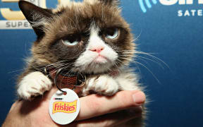 Grumpy Cat visits the SiriusXM set at Super Bowl 50 Radio Row at the Moscone Center on February 4, 2016 in San Francisco, California.