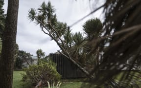 Trees down in a property 5km south of Granity on SH 6