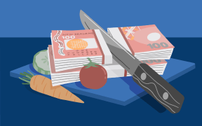 Stylised illustration of knife cutting through stack of money on chopping board surrounded by vegetables