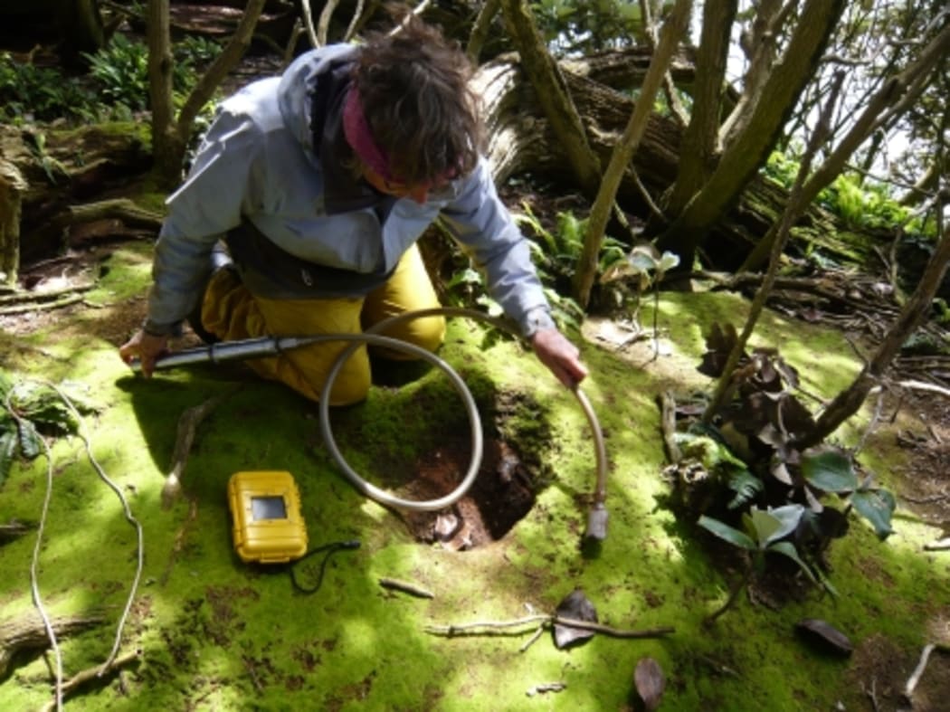 Ornithologist Kerry Jayne Wilson