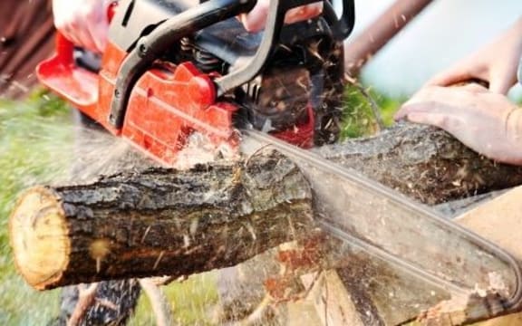 A review of safety in the forest industry has brought a huge improvement in the accident rate.