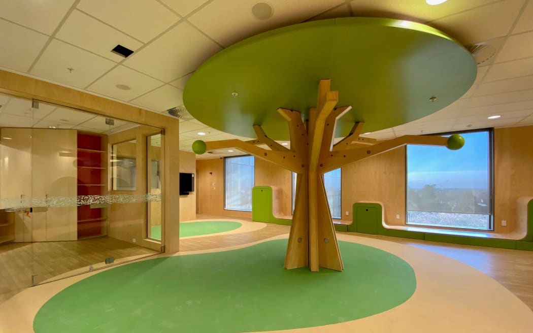Christchurch Hospital's new Acute Services Building
