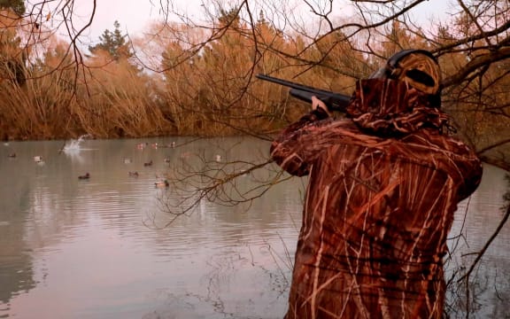 050518 Photo: Richard Cosgrove / Fish & Game NZ
Opening Day of the 2018 water fowl season in Canterbury hunters in action on a pond in the Selwyn District